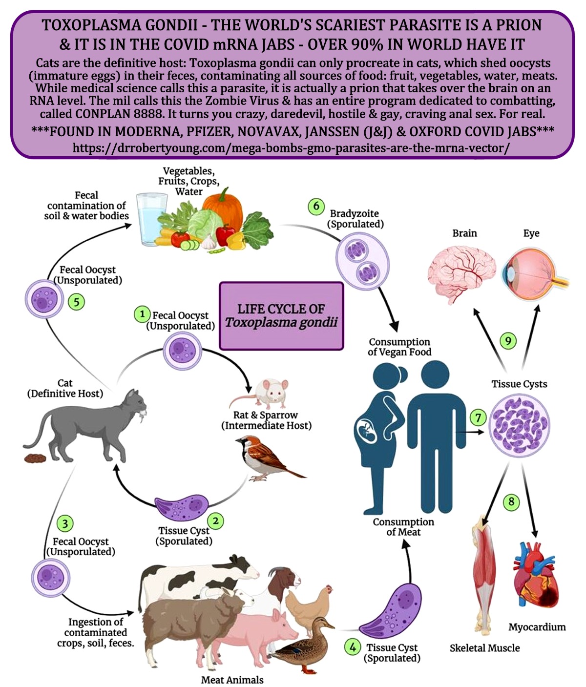 Source of parasites.